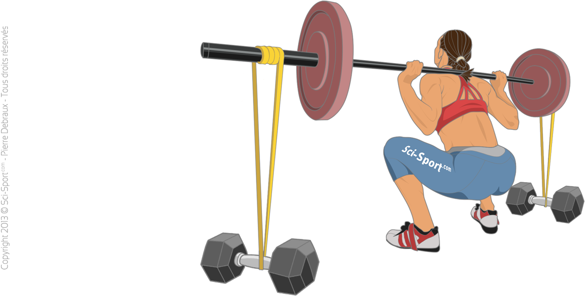 Squat With Elastic Bands - Squat (1200x624), Png Download