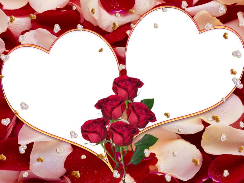 Marco Para Una Foto - S And Z Love (800x600), Png Download