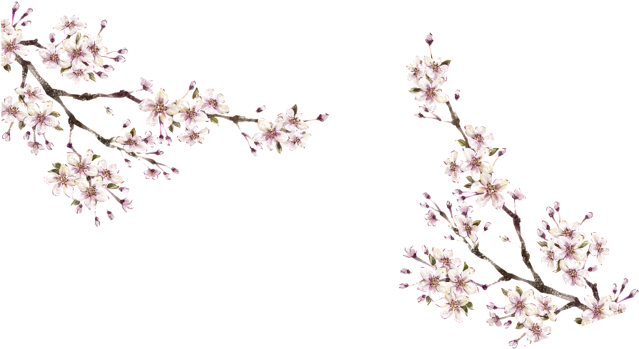 This Graphics Is Winter Plum Png About Winter, Plum, - Xiaopangzi Traditional Chinese Flower Trees Door Curtain (1024x646), Png Download