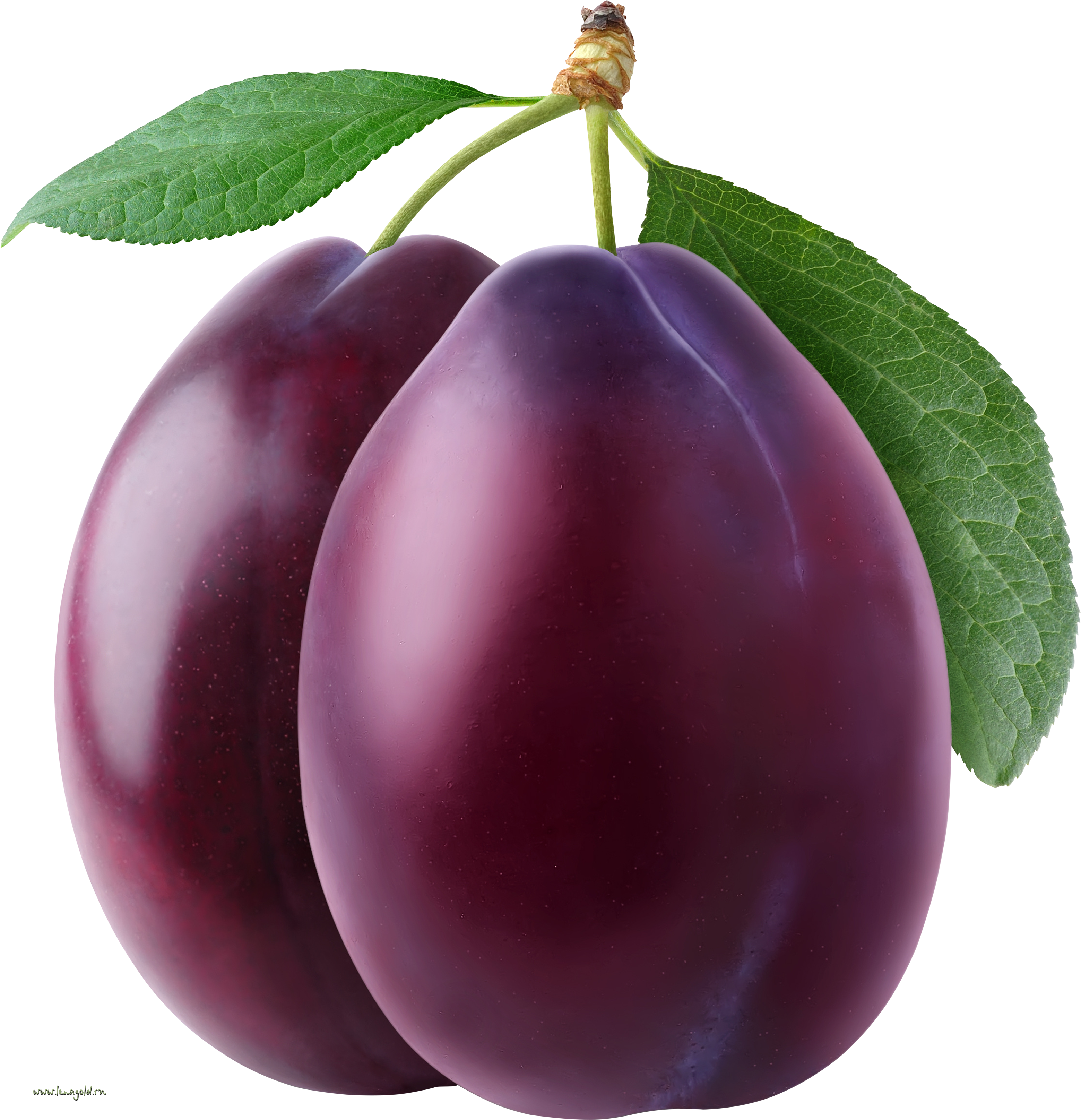 Plum Png Image - Plum Png (3118x3230), Png Download