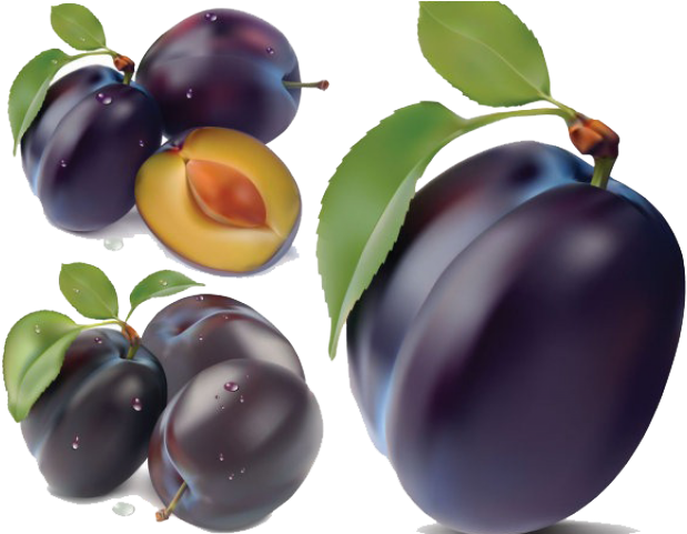 Plum Png Image - Plum Png (600x475), Png Download