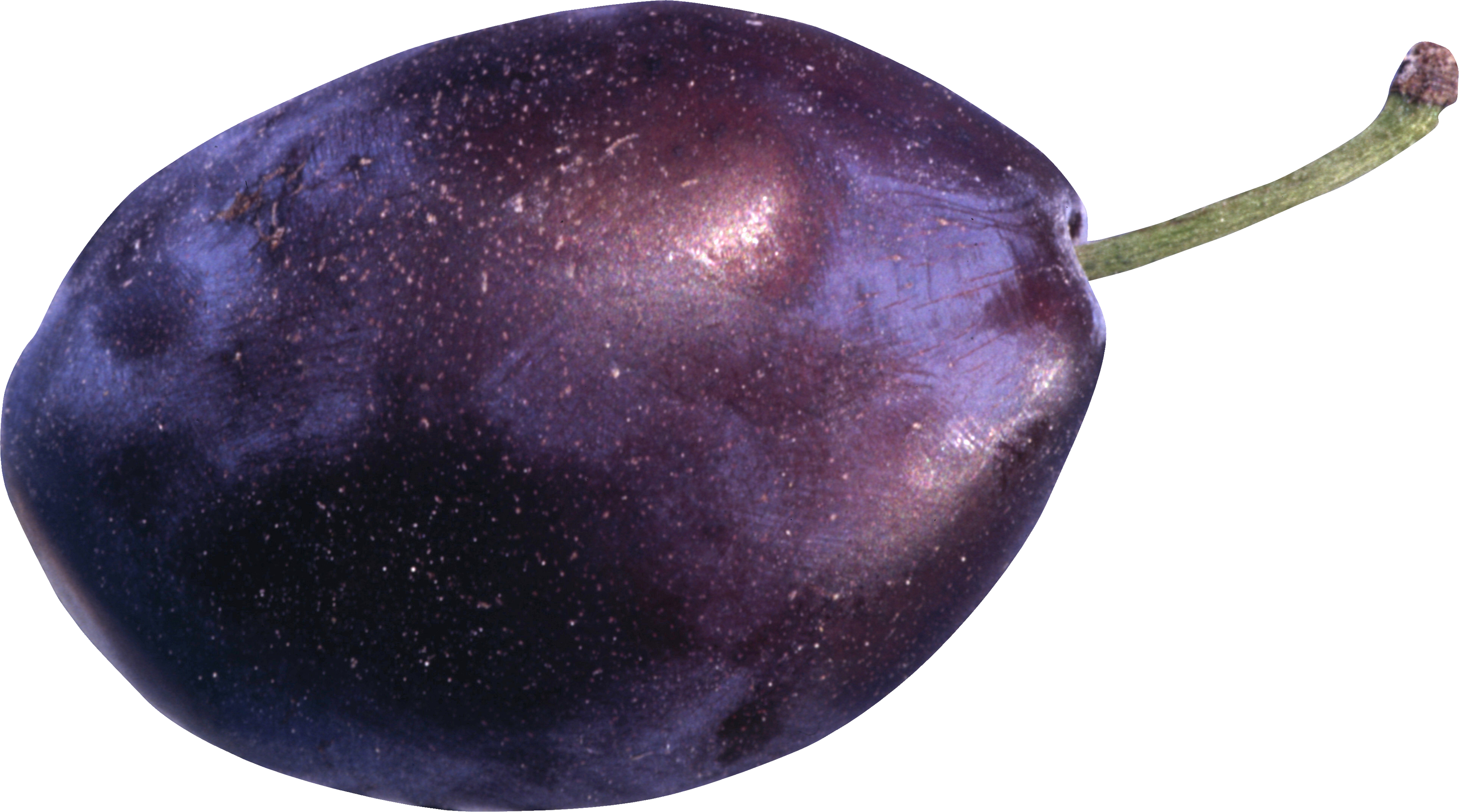 Plum Png Image - Purple Plum Png (3500x1948), Png Download
