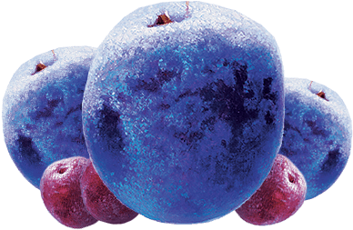 Seedless Fruit (500x500), Png Download