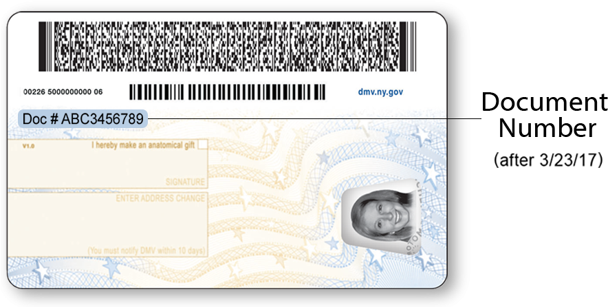 Back Of The Current Nys Driver License For Individuals - New York Id 2017 (900x448), Png Download