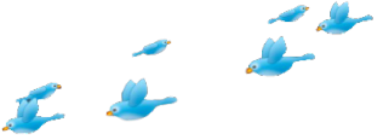 Png Pngs Pngtumblr Fly Pajaros Blue Tumblr Art Interest - Png Passarinhos (1024x1024), Png Download