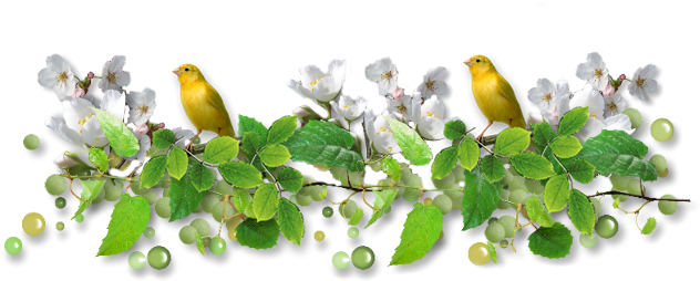 Pajaros Lineas - Clip Art (640x282), Png Download