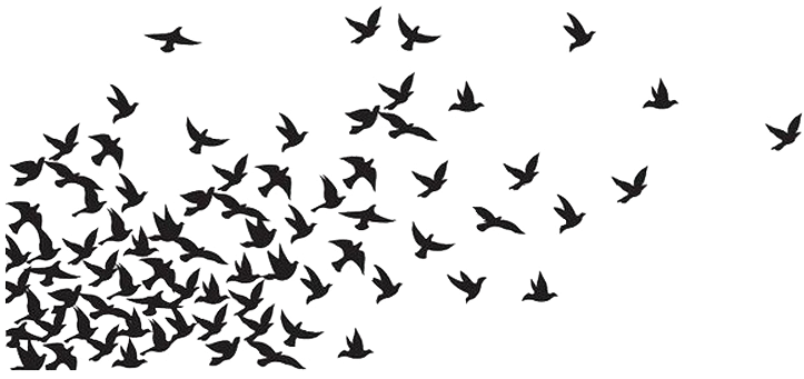 1966 - - Blackbird Vineyards (1200x585), Png Download