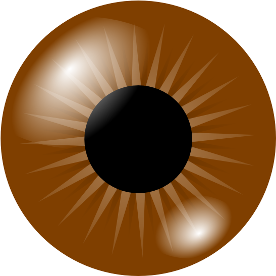 Brown Eye Clip Art At Clker - Brown Eye Clipart (600x546), Png Download