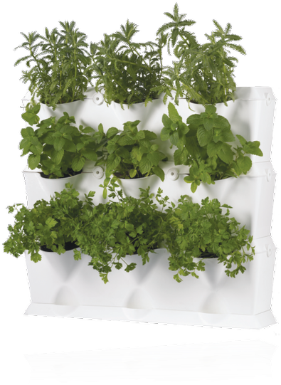 The Garden Wall In The Kitchen - Earthbox Minigarden Germination Station; White (600x600), Png Download