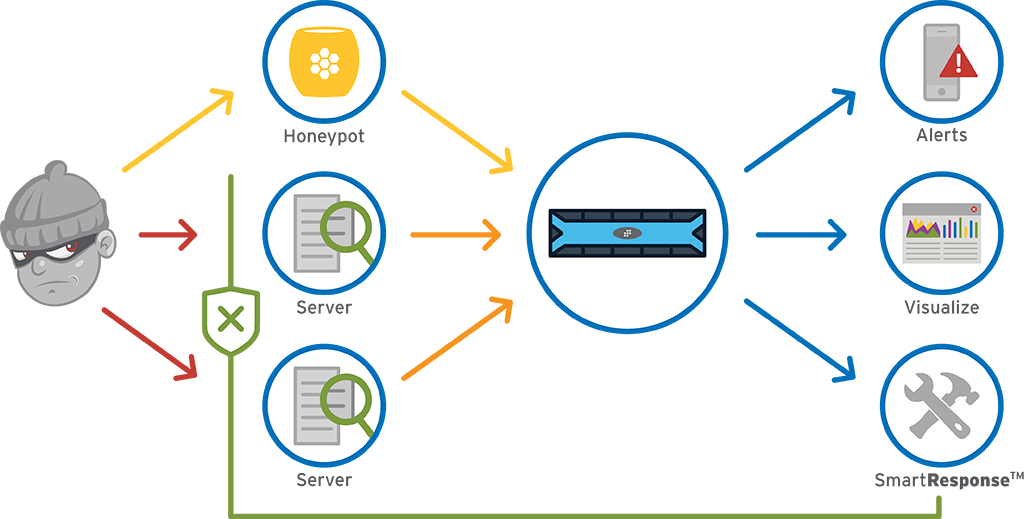 Honeypot Security (1024x519), Png Download