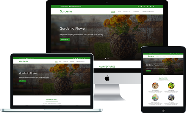 Demo - Web Design (640x426), Png Download