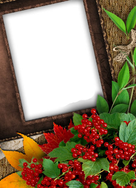 Nice Fall Png Photo Frame - Nice Photo Frame (435x600), Png Download