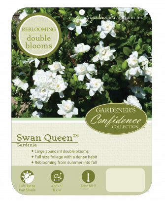 Plant Profile - Gardenia (335x407), Png Download