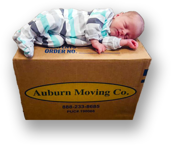 Baby Sleeping On Roseville Moving Company Box - Auburn Moving & Storage (768x628), Png Download