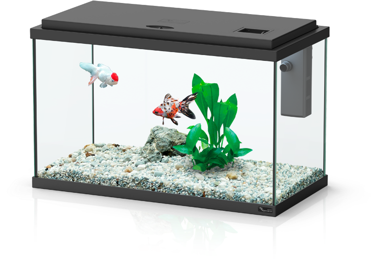 Funny Fish - Aquatlantis - Aquarium 243 L Fusion 101x40 Led Noir (788x712), Png Download