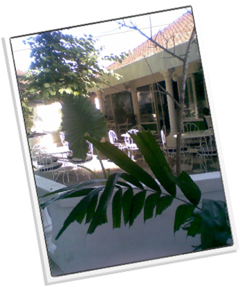 Free Wi-fi - Window (347x415), Png Download