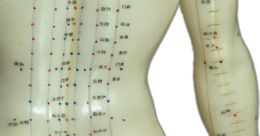 Los Puntos De Acupuntura - Muñeco De Acupuntura Png (860x450), Png Download