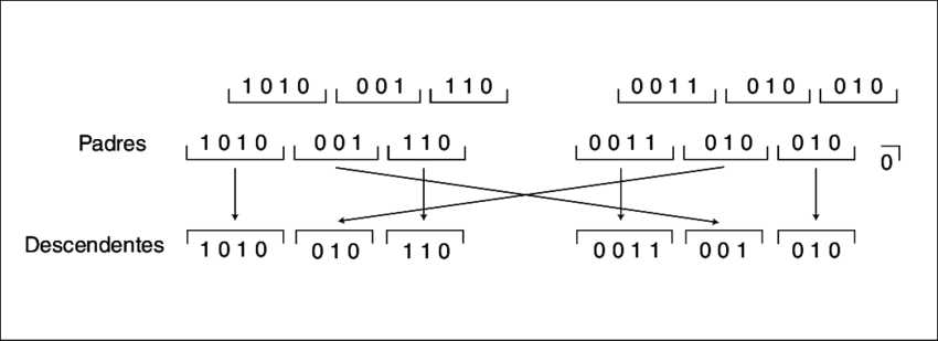 Ejemplo De Cruce Basado En Dos Puntos - Science (850x309), Png Download