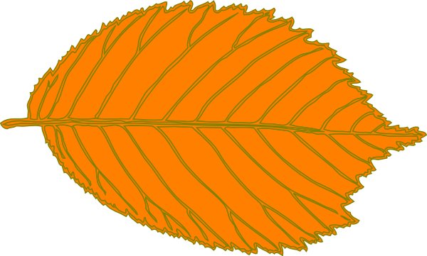 Clip Art (600x361), Png Download