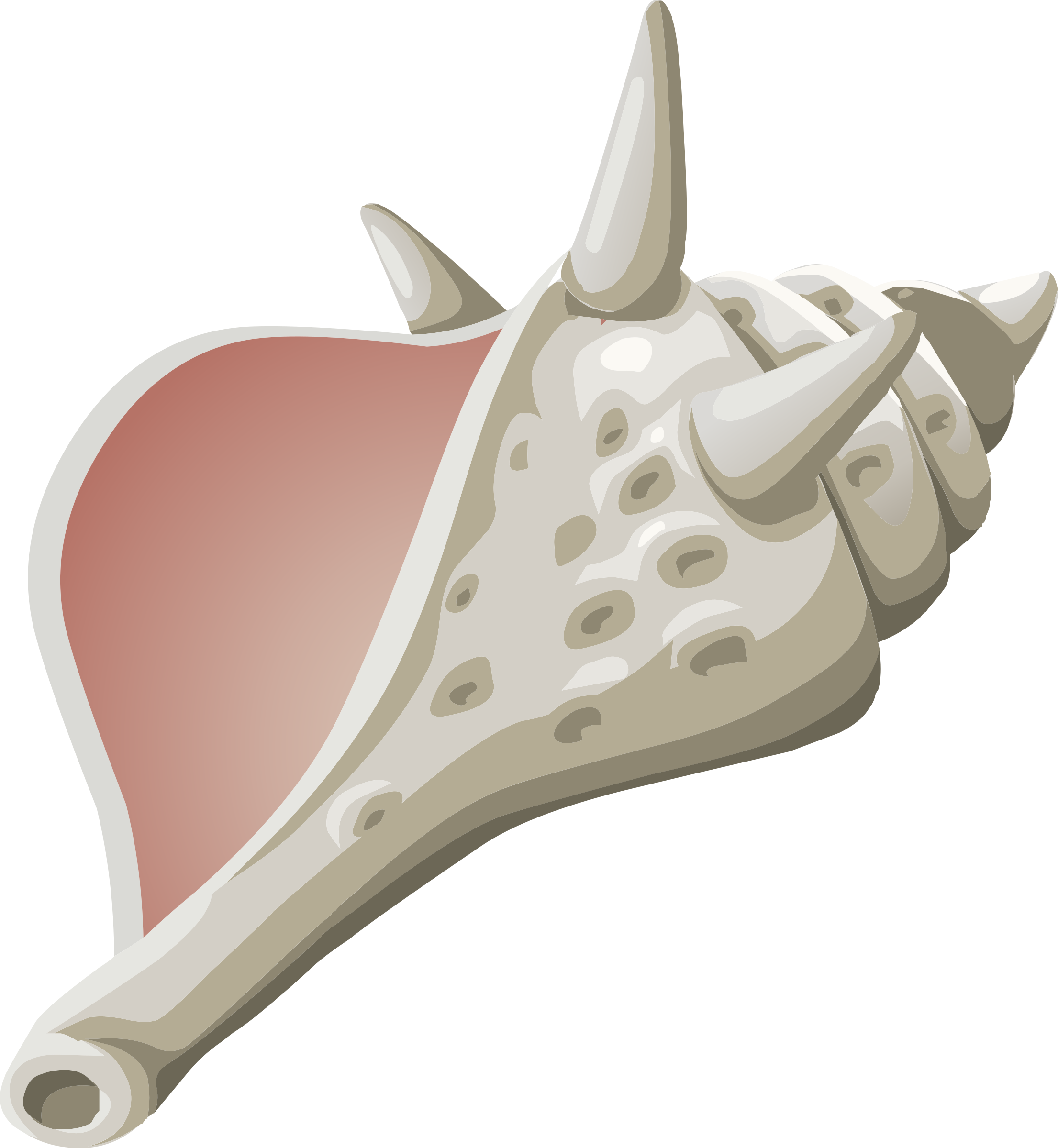 This Free Icons Png Design Of Misc Conch (2211x2400), Png Download