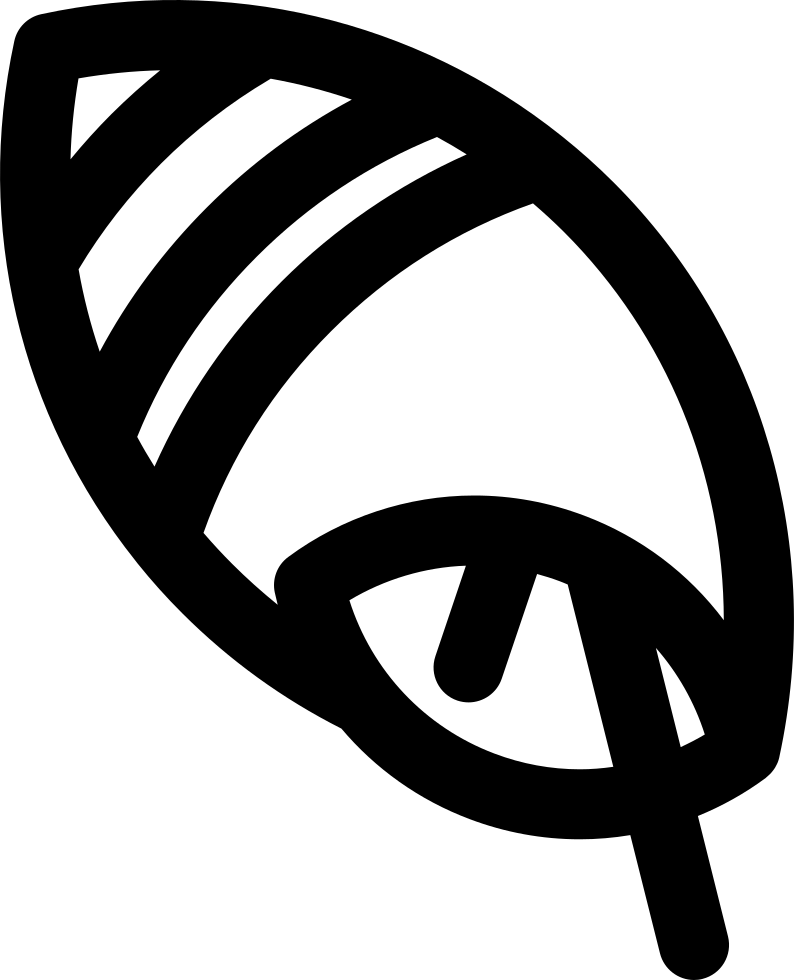 Conch Comments - Conch (794x980), Png Download