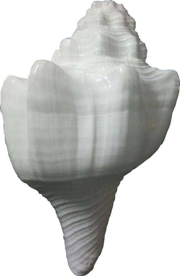 Product Image Big - Product (589x904), Png Download