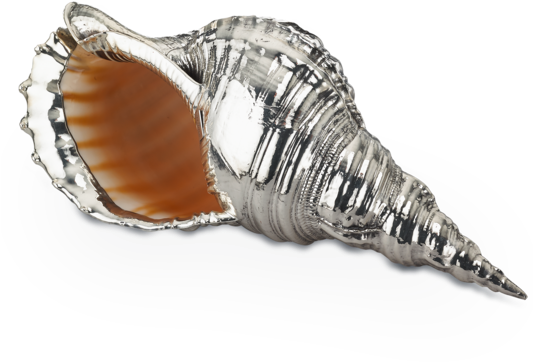 Buccellati - Centerpieces - Charonia Tritonis - Silver - Charonia Tritonis (570x570), Png Download