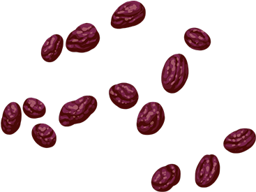 Raisins - Wiki (450x494), Png Download