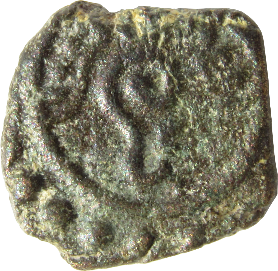 Conch With Decoration Above - Conch Piercing (1116x1116), Png Download