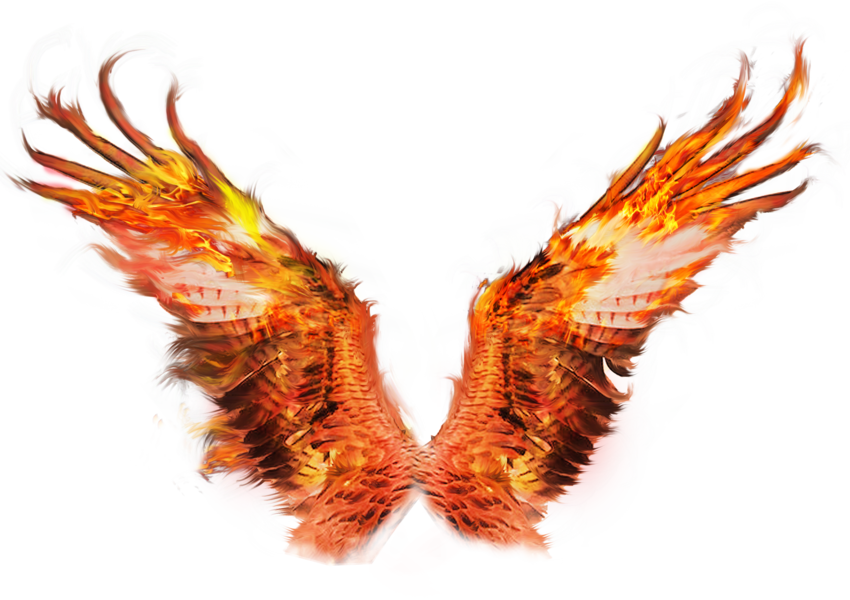 Wings Tigers - Fire Wing Png Transparent (850x600), Png Download