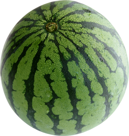 Gift Watch - Watermelon Fruits Sport Metal Watch (540x570), Png Download