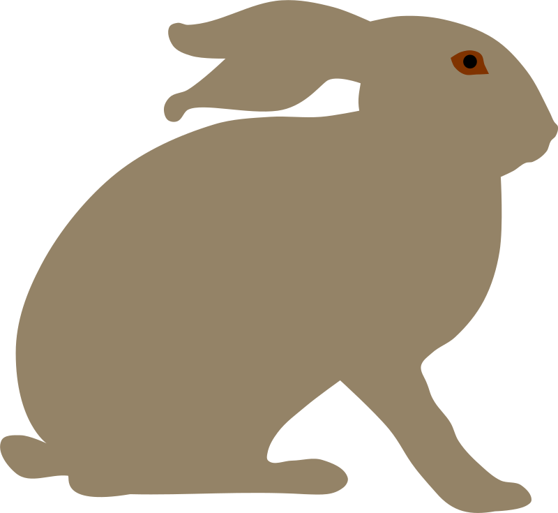 Hare By Rones (800x735), Png Download