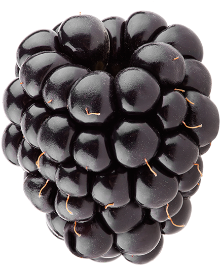 Blackberry, The Black Jewel - Organic Shop Body Scrub Wild Blackberries 200ml (460x540), Png Download