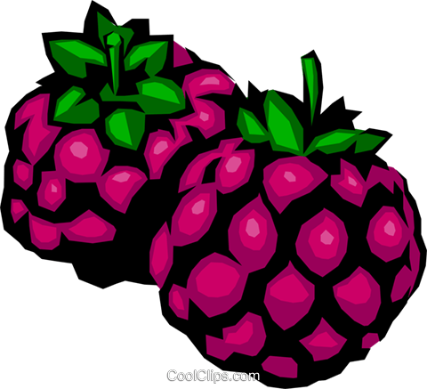Blackberries Royalty Free Vector Clip Art Illustration - Gif De Mora (480x437), Png Download