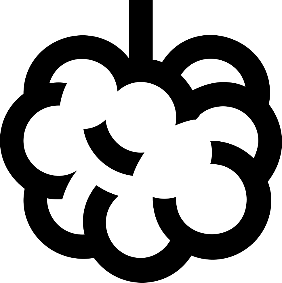 Blackberries Comments - Berry (980x985), Png Download