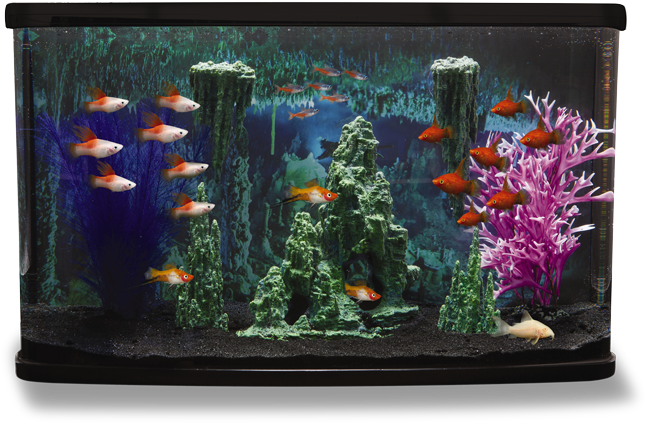Cave - Cave Themed Fish Tank (700x430), Png Download