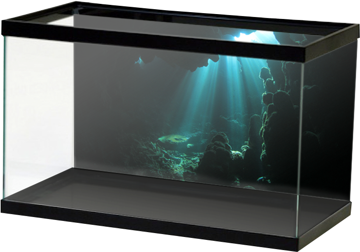 Underwater Cave - Hd Aquarium Background Film (800x800), Png Download