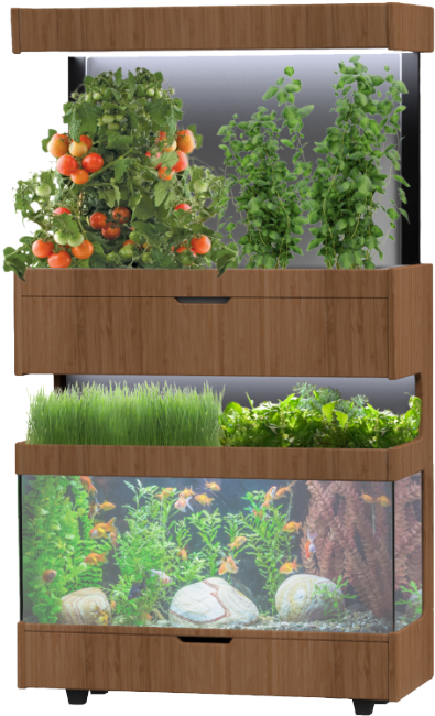 Grove Fish Tank - Grove Ecosystem (400x656), Png Download