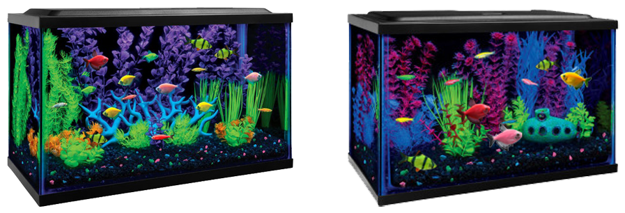 Download Glofish® Aquarium Kits - Tetra Fish Tank Ideas PNG Image with No  Background 