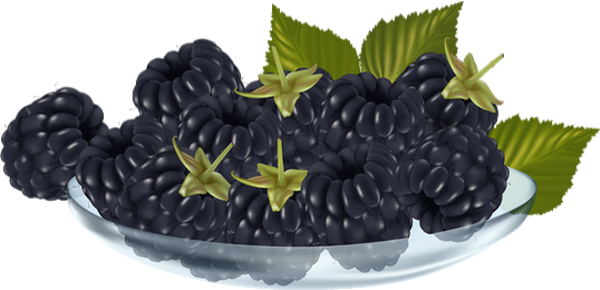Blackberry (600x290), Png Download