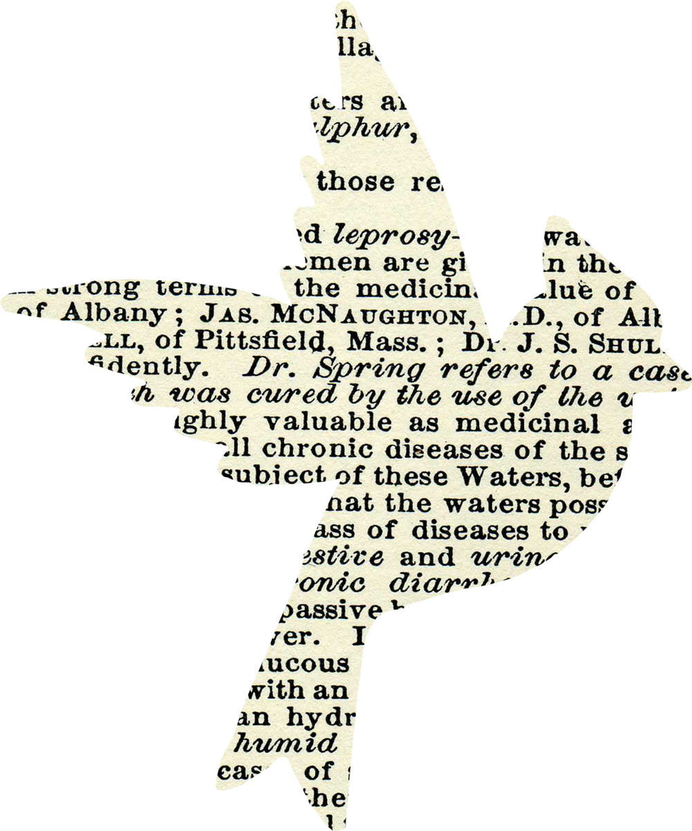 Marcos Gratis Para Fotos - Decoraciones De Pagina Png (1001x1202), Png Download