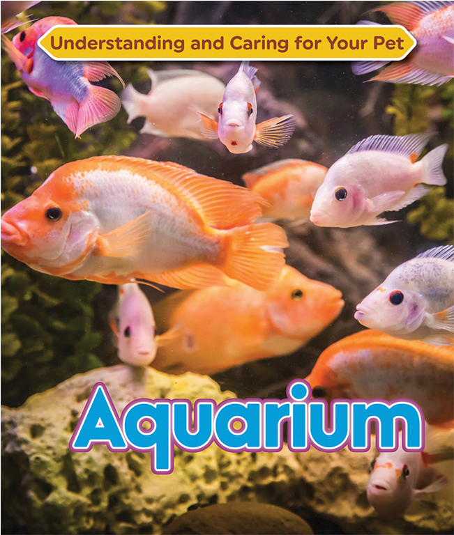 Aquarium (650x950), Png Download