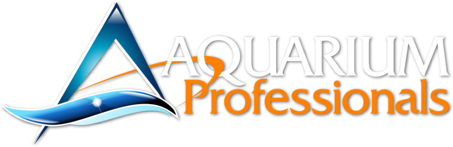 Aquarium Banner Design (910x301), Png Download