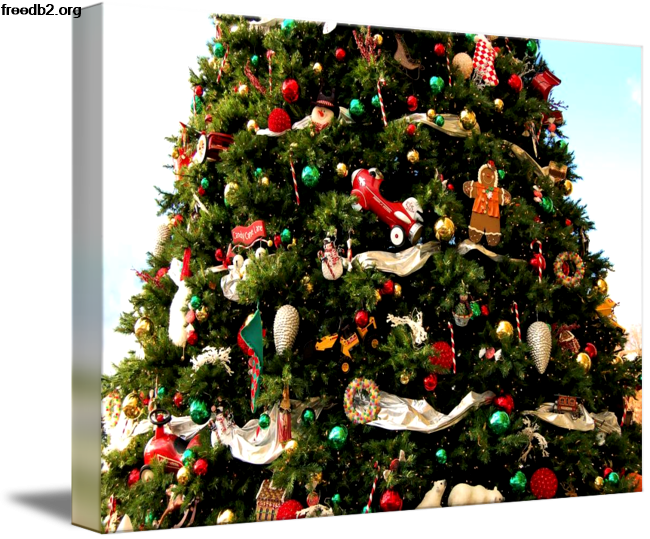 Kirkland Christmas Tree By Rick Takagi Kirklands Christmas - Christmas Tree (650x539), Png Download