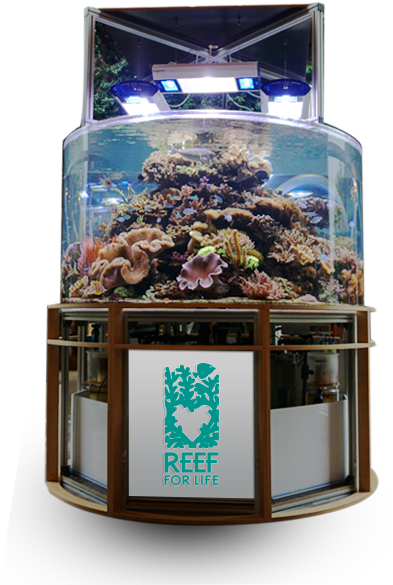 Add Value To Infrastructure - Aquarium (404x636), Png Download