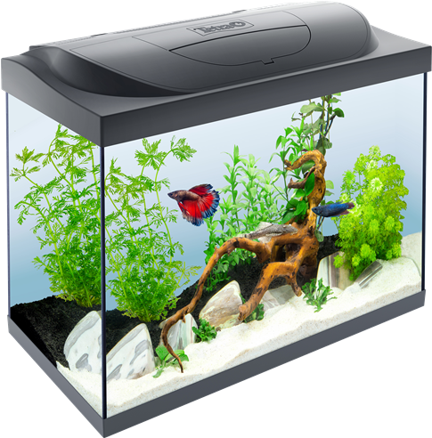 80l Aquarium (491x491), Png Download