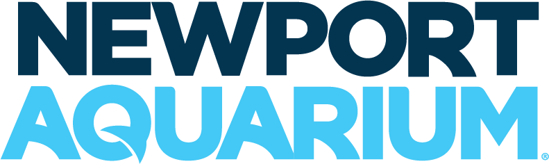 Newport Aquarium Logo - Wave Foundation At Newport Aquarium Logo (791x236), Png Download