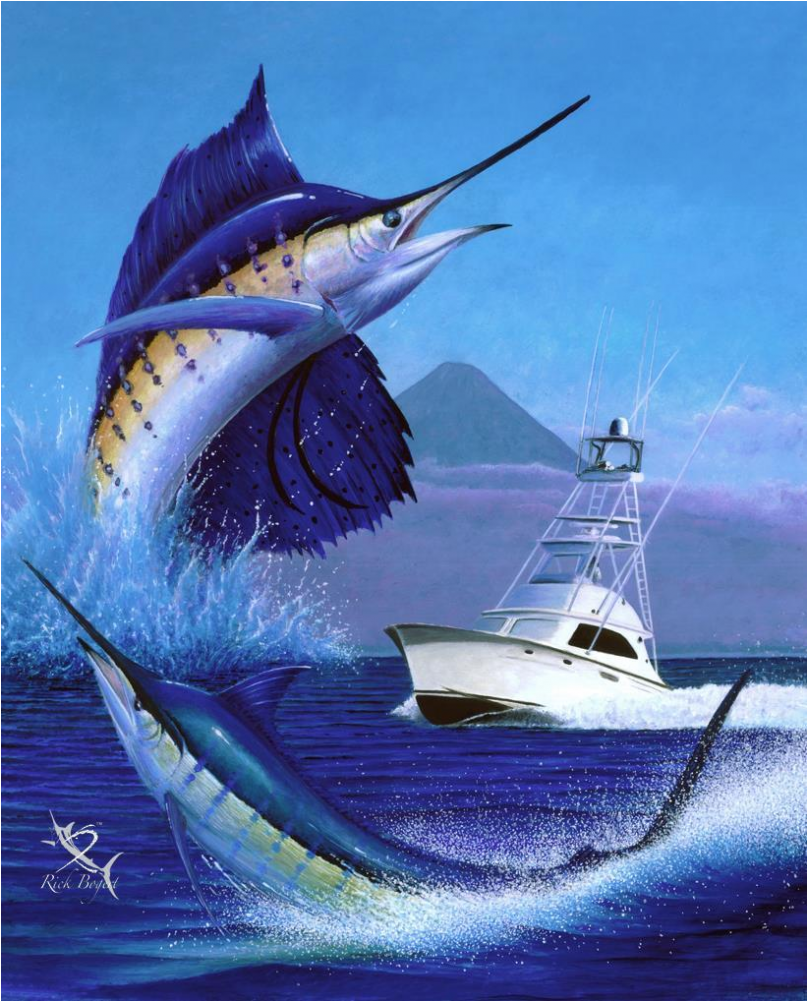 Pez Vela (1000x1000), Png Download