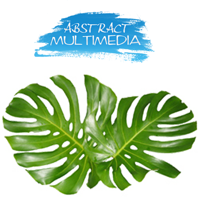 Share This Image - Monstera Leaves (404x400), Png Download