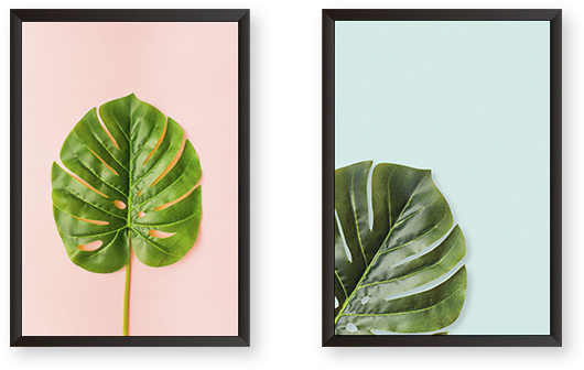 Set Of 2 Frames - Swiss Cheese Plant (600x600), Png Download